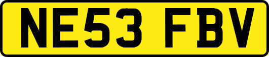 NE53FBV