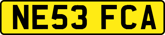 NE53FCA