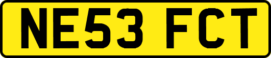 NE53FCT