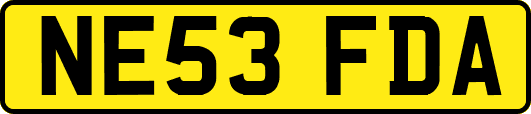 NE53FDA
