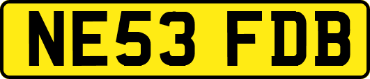 NE53FDB