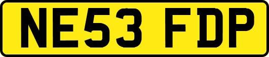 NE53FDP