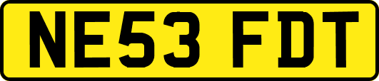 NE53FDT