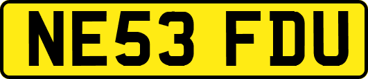 NE53FDU