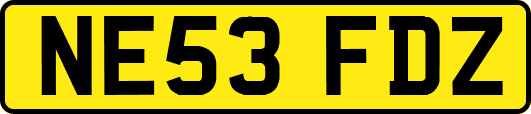 NE53FDZ