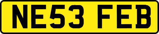 NE53FEB