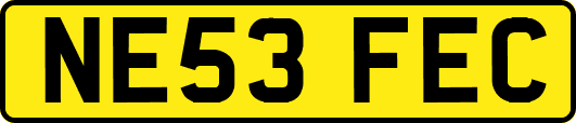 NE53FEC