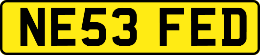 NE53FED