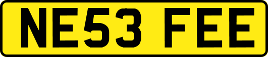 NE53FEE