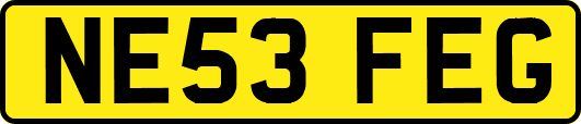 NE53FEG