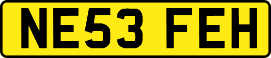 NE53FEH