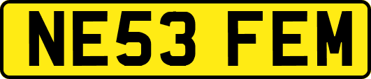 NE53FEM