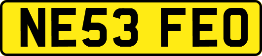 NE53FEO