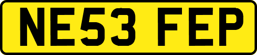 NE53FEP