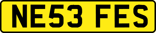 NE53FES