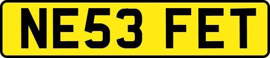 NE53FET