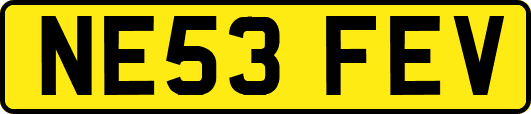NE53FEV