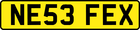 NE53FEX