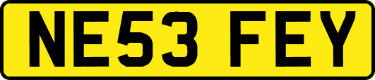 NE53FEY