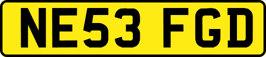 NE53FGD