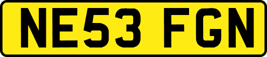 NE53FGN