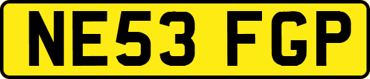 NE53FGP