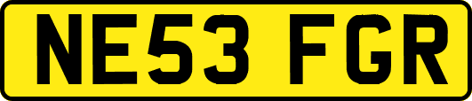 NE53FGR