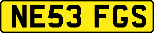NE53FGS