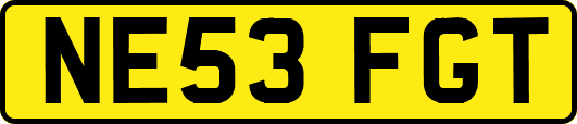 NE53FGT