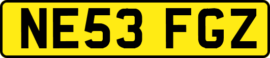 NE53FGZ