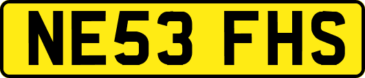 NE53FHS