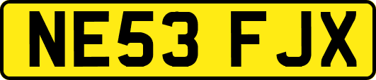 NE53FJX