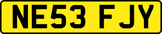 NE53FJY