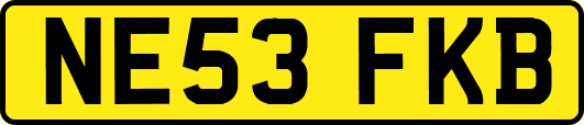NE53FKB