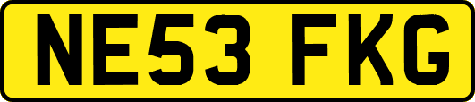NE53FKG