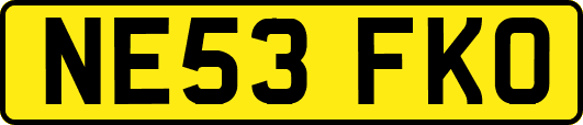 NE53FKO