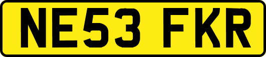 NE53FKR