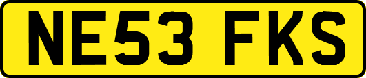 NE53FKS