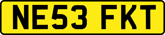 NE53FKT
