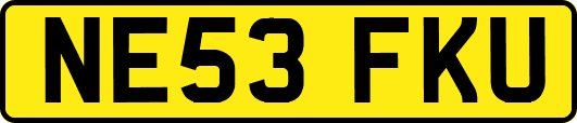 NE53FKU