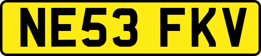 NE53FKV
