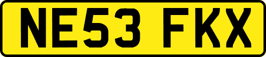 NE53FKX
