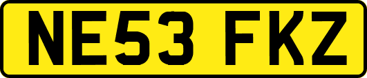NE53FKZ