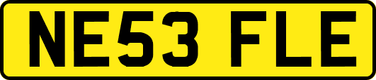NE53FLE