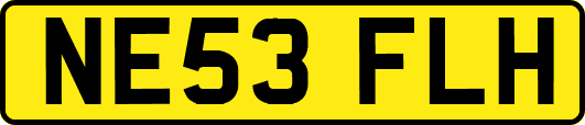 NE53FLH