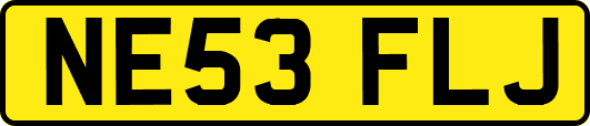 NE53FLJ