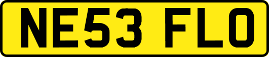 NE53FLO