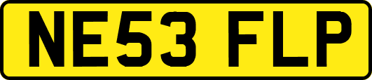 NE53FLP