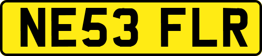 NE53FLR