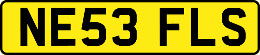 NE53FLS